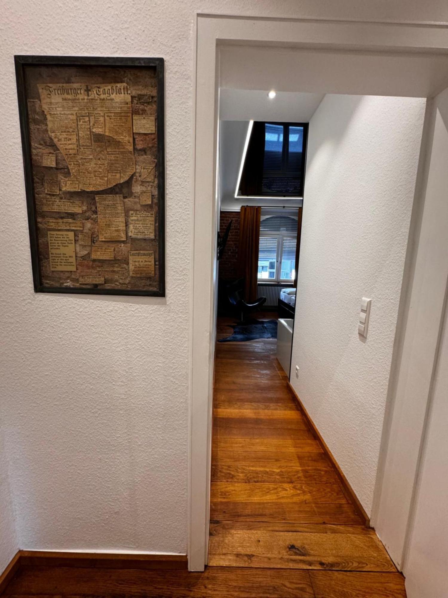 Historical Luxury Homes - Luxus Loft Wallstreet Fryburg Bryzgowijski Zewnętrze zdjęcie